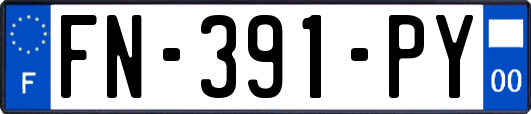 FN-391-PY