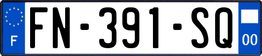 FN-391-SQ