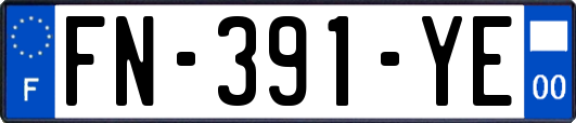FN-391-YE