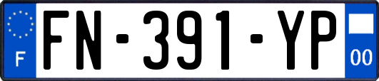 FN-391-YP