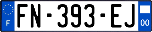 FN-393-EJ