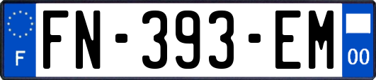 FN-393-EM
