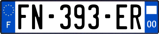 FN-393-ER