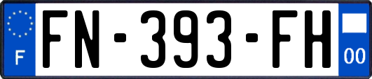 FN-393-FH
