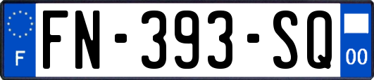 FN-393-SQ