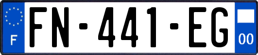 FN-441-EG