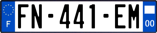 FN-441-EM