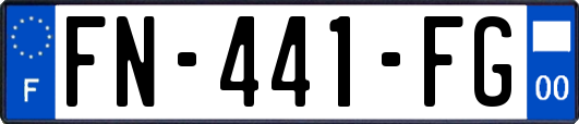 FN-441-FG
