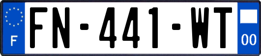 FN-441-WT