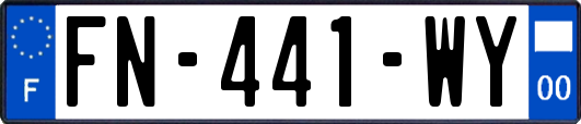 FN-441-WY