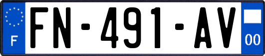 FN-491-AV