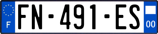 FN-491-ES