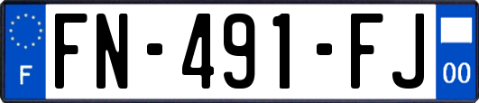 FN-491-FJ