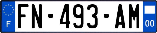 FN-493-AM