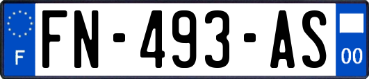 FN-493-AS