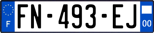 FN-493-EJ