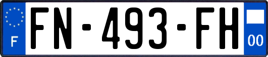 FN-493-FH