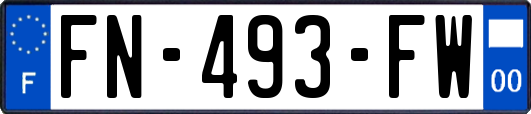 FN-493-FW