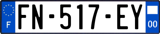 FN-517-EY