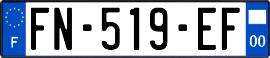 FN-519-EF