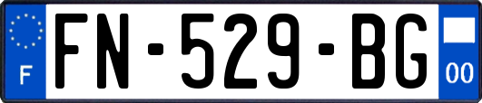 FN-529-BG