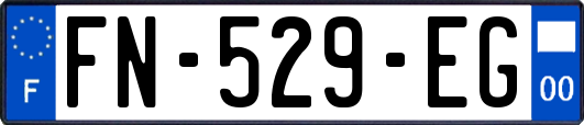 FN-529-EG