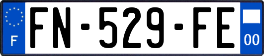 FN-529-FE