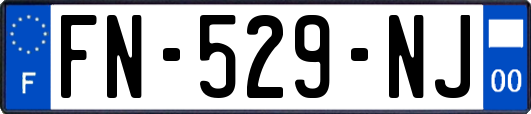 FN-529-NJ