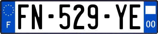 FN-529-YE