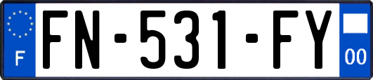 FN-531-FY