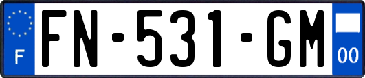 FN-531-GM