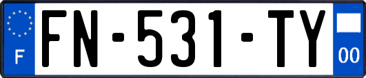 FN-531-TY