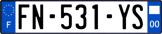 FN-531-YS
