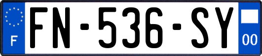 FN-536-SY