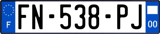 FN-538-PJ