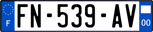 FN-539-AV