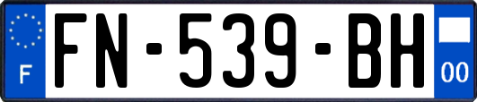 FN-539-BH
