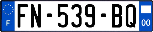 FN-539-BQ