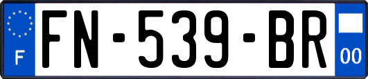 FN-539-BR