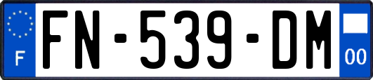 FN-539-DM