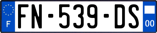 FN-539-DS