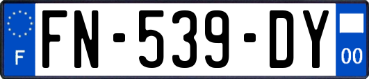 FN-539-DY