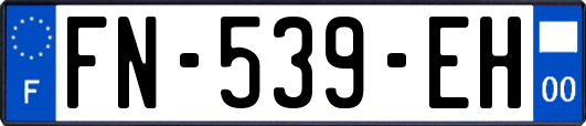 FN-539-EH