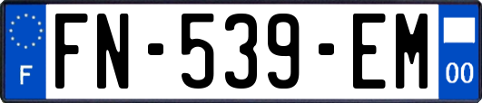 FN-539-EM