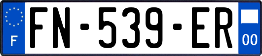 FN-539-ER