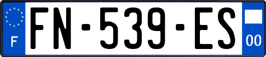 FN-539-ES