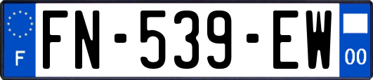 FN-539-EW