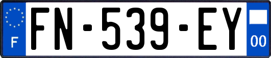 FN-539-EY