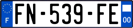 FN-539-FE