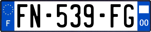 FN-539-FG